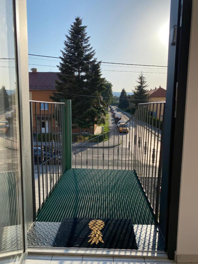 Útulný apartmán v blízskom centre mesta Bardejov Esterno foto