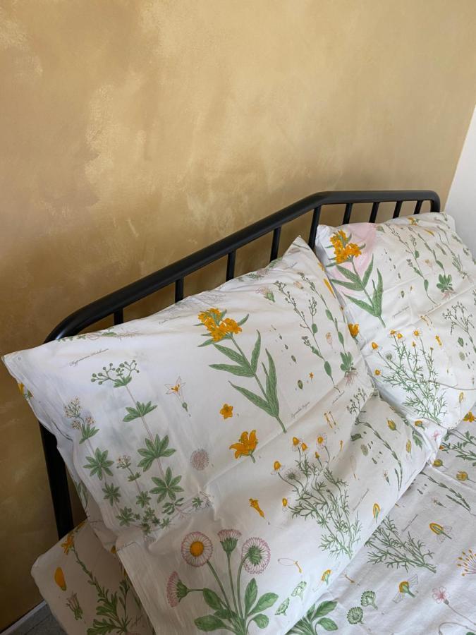 Útulný apartmán v blízskom centre mesta Bardejov Esterno foto